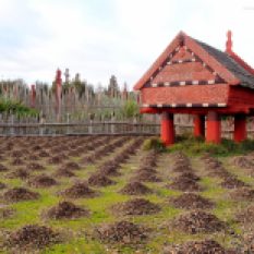 Te Parapara | Listed under the Productive Collection, this garden includes records of traditional knowledge, interpretive material and ceremonies all focused on the heritage and tikanga associated with the local area.